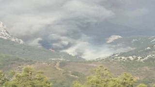 Mersinde ikinci orman yangını