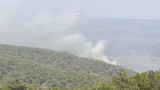 Mersinde kaynak yaparken orman yangınına neden olan firma sahibi ile 4 kişi tutuklandı
