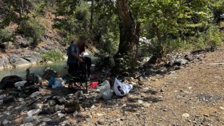 Mersinde ormanlık alana izinsiz girenlere ceza kesildi