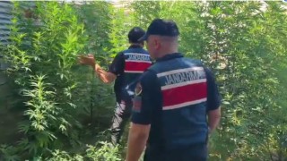 Mersinde uyuşturucu operasyonu: 8 gözaltı