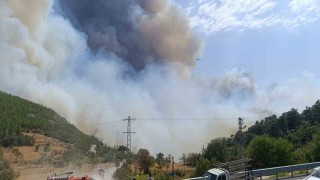 Mersindeki orman yangınında evler tedbiren boşaltılıyor