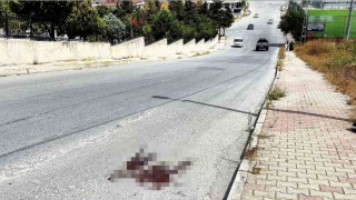 Mezarlık önünde kardeş kavgası cinayetle bitti: 1 ölü