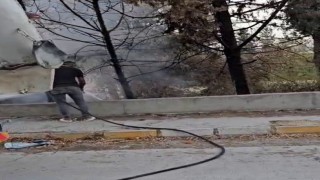 Mikser sürücüsü ağaçları yanmaktan kurtardı