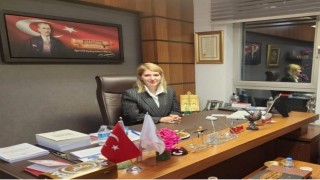 Milletvekili Ölmeztoprak: AK Partimiz 24 yaşında