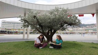 Milli İrade Meydanına 300den fazla ağaç dikildi