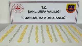 MİT tespit etti, jandarma operasyon düzenledi