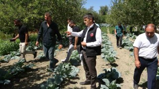 Modern basınçlı sulama sistemiyle hem işçilikten hem de verimden kazandı