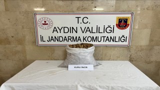 Motosikletli incir hırsızı jandarmadan kaçamadı