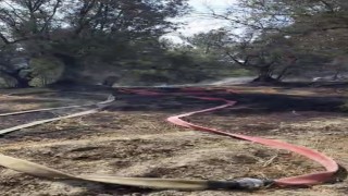 Mudanyada korkutan yangın