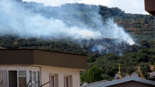 Mudanyada korkutan yangın