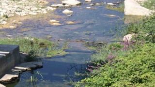 Mudurnu Deresini kirleten firmanın faaliyeti durduruldu