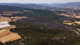 Mudurnudaki orman yangınında 66 hektar alan kül oldu