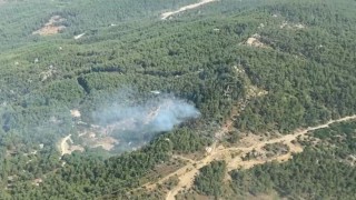 Muğla Milasta ormanlık alanda yangın