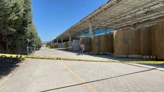 Muğlada güvenlik görevlisi başından vurulmuş halde bulundu