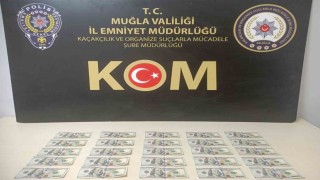 Muğlada sahte dolar operasyonu