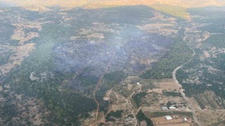 Muğladaki orman yangını kontrol altına alındı