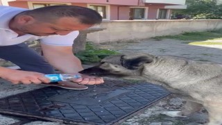 Muhtardan insanlık dersi