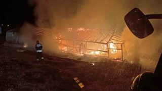 Muşta ahır yangını: Hayvanlar son anda kurtarıldı