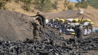 Muşta mevsimlik işçilerin zorlu mangal kömürü mesaisi