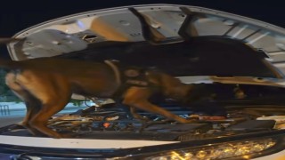 Muşta polis ekiplerinden suç ve suçlulara geçit yok