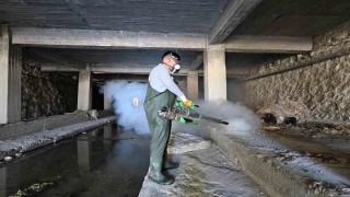 Mutta sineksiz yaz için etkili mücadele sürüyor