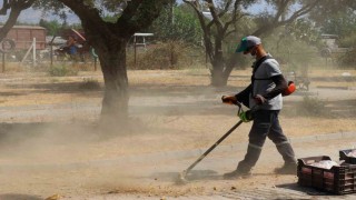 Nazilli Belediyesinden Pirlibeyde temizlik atağı