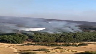 OGM: Adana İmamoğlunda orman dışı alanda başlayan yangını tamamen kontrol altına aldık