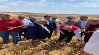 Okandan: AK Parti olarak her zaman üreticimizin ve çiftçimizin yanındayız