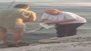 Oltaya balık yerine martı takıldı