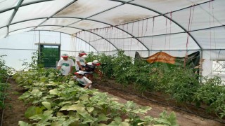 Önce öğrenip üretiyorlar, sonra yiyorlar