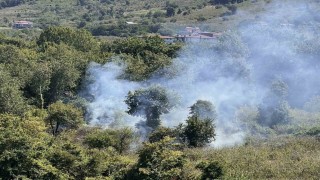 Orduda bahçe temizliği yangına yol açtı