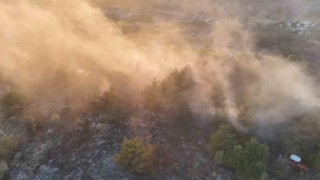 Orduda ormanlık alanda çıkan yangın söndürüldü