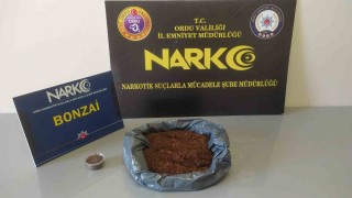 Orduda uyuşturucu operasyonlarında 2 tutuklama