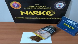 Orduda uyuşturucu operasyonlarında 2 tutuklama