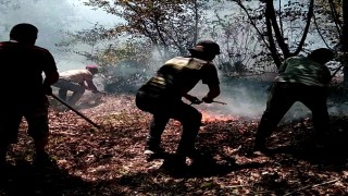 Ordunun iki ilçesinde çıkan yangın ekipler tarafından söndürüldü