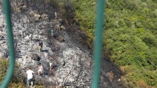 Orhangazide orman yangını korkuttu