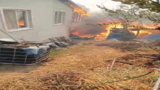 Orman yangını köye indi: Kaç, artık hiçbir şey yapamayız