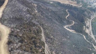 Orman yangınında zarar gören alanlar dronla görüntülendi