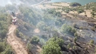 Ormanlık alanda çıkan yangın büyümeden söndürüldü