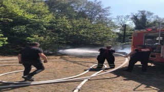 Ormanlık alanda yangın