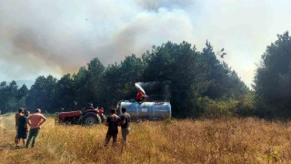 Ormanlık alanda yangın: Çok sayıda ekip sevk edildi