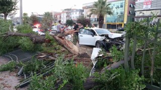 Ortalığın savaş alanına döndüğü kazada kimsenin burnu bile kanamadı