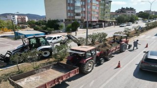 Osmaneli estetiğine yeni adım