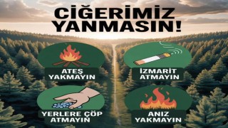 Osmaniye Emniyeti Uyardı: “Bir Kıvılcım, Bir Ormanı Yok Edebilir!”