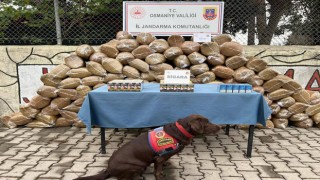 Osmaniye Jandarmasından Büyük Operasyon: 122 Şüpheli Yakalandı