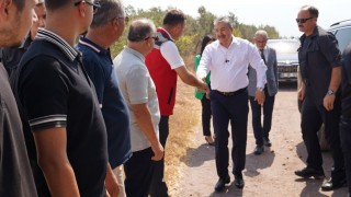 Osmaniye Merkez’de Mısır Hasadı Töreni Gerçekleştirildi