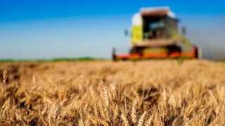 Osmaniye’de Devlet Destekleri Bilgilendirme Toplantısı Düzenlenecek