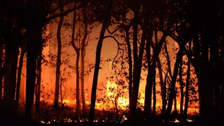 Osmaniye’de Orman Yangını Riskine Karşı Kırmızı Alarm