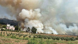 Osmaniyede ormanlık alanda yangın çıktı