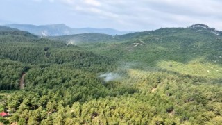 Osmaniye’de Ormanlık Alanlara Girişler Yasaklandı